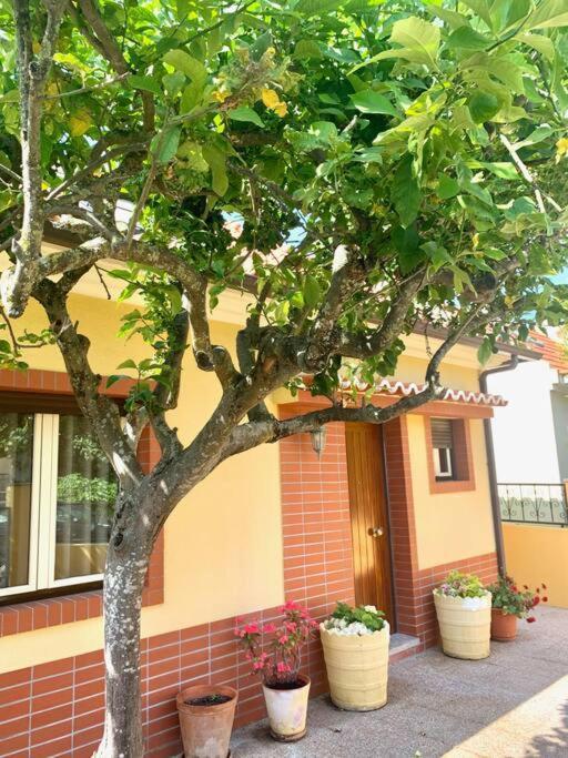Top Beach House Коста да Капарика Екстериор снимка
